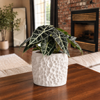 Cavern Pot