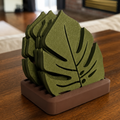 Monstera Leaf Coaster Set